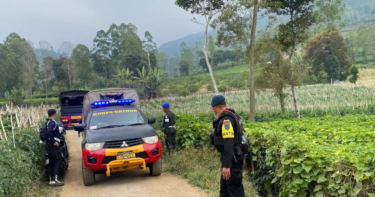 171 Personel Tertibkan 117 Hektare Lahan Ilegal di Cagar Alam Papandayan Garut