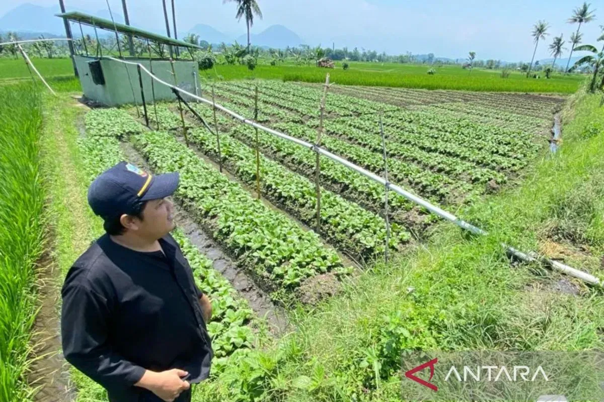 1.837 Hektare Lahan Tani Garut Dilindungi dari Risiko Kemarau