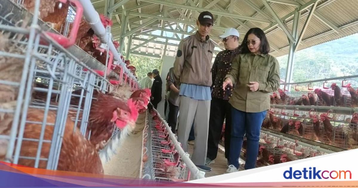 1.900 Warga Batulawang Cianjur Peroleh Kepastian Hukum Lahan Reforma Agraria Setelah Lahan HGU Dialihkan