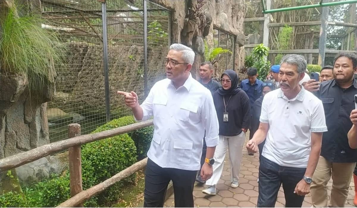 2 Anak Harimau Mati: Pemkot Bandung Perketat Biosekuriti Bandung Zoo
