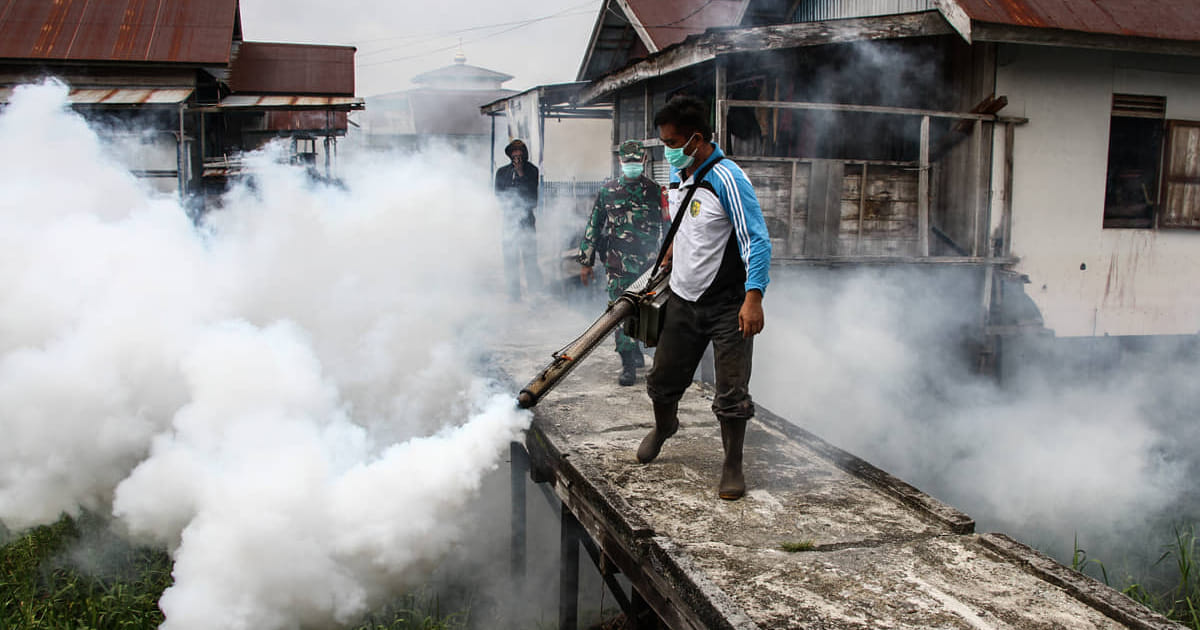 200 Warga Tasikmalaya Positif DBD Sepanjang 2026, Anak-Anak Jadi Kelompok Rentan
