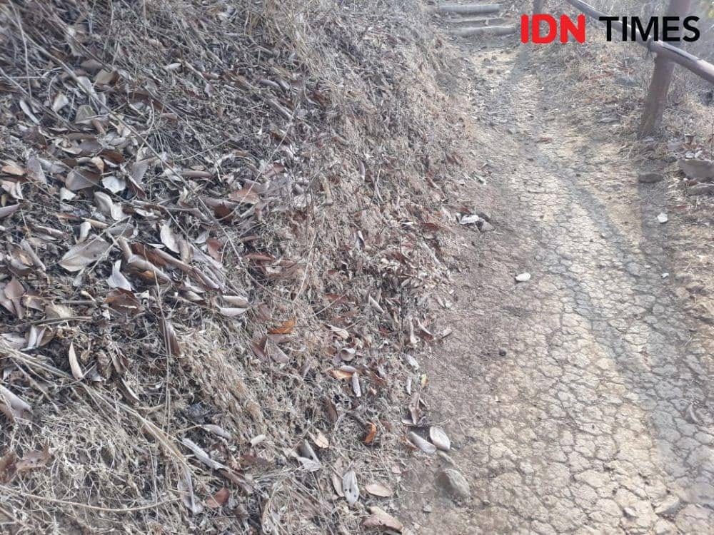 205 Ribu Jiwa Terdampak Kekeringan di Jawa Barat, 3 Daerah Ini Paling Parah