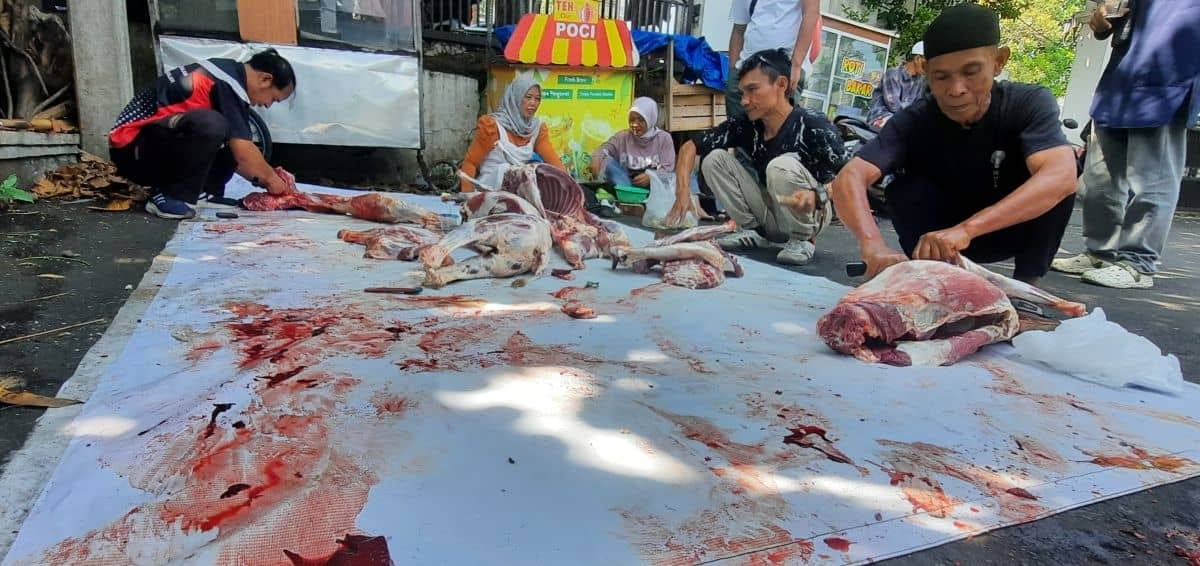 8.257 Ekor Hewan Kurban di Cianjur: DPKHP Cek Kesehatan dan Kelayakan