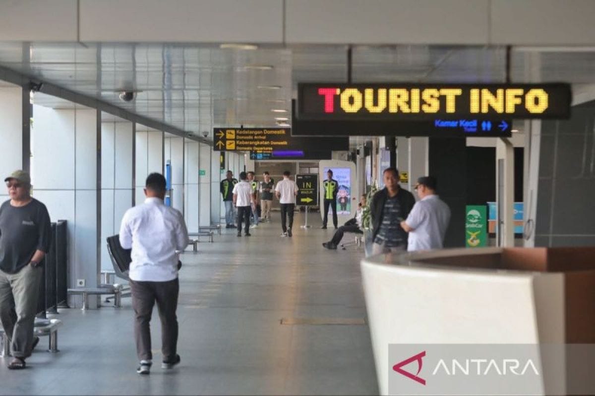 Bandara Husein Aktif Lagi: Rute Favorit untuk Dongkrak Wisata dan Ekonomi