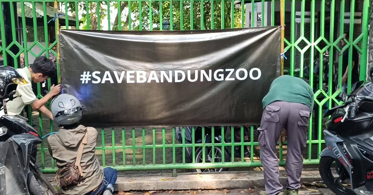 Bandung Zoo: Farhan Tolak Relokasi Satwa, Jaga Fasilitas Bersejarah