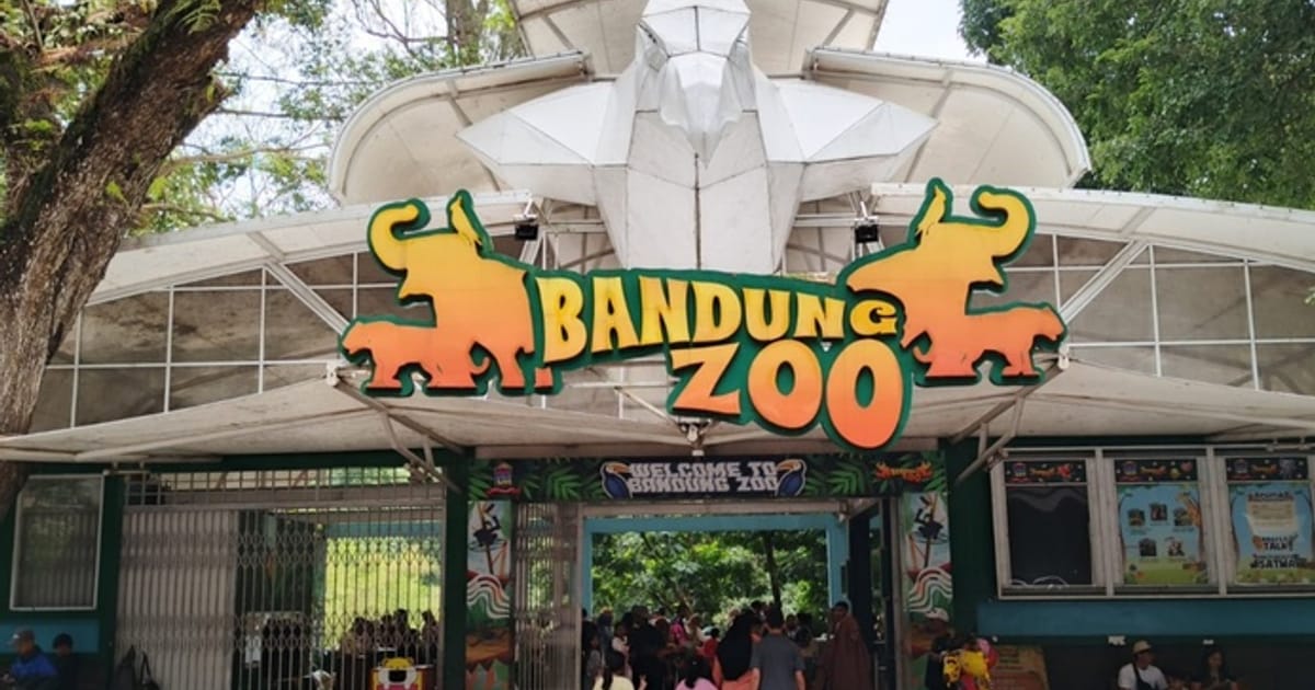 Bandung Zoo Targetkan Selesai Dokumen Lingkungan dan AMDAL dalam 6 Bulan Sebelum Kembali Beroperasi