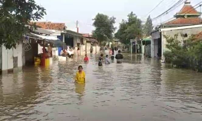 Banjir Cisanggarung Losari: 950 KK Terendam, Tanggul Darurat Dikerahkan