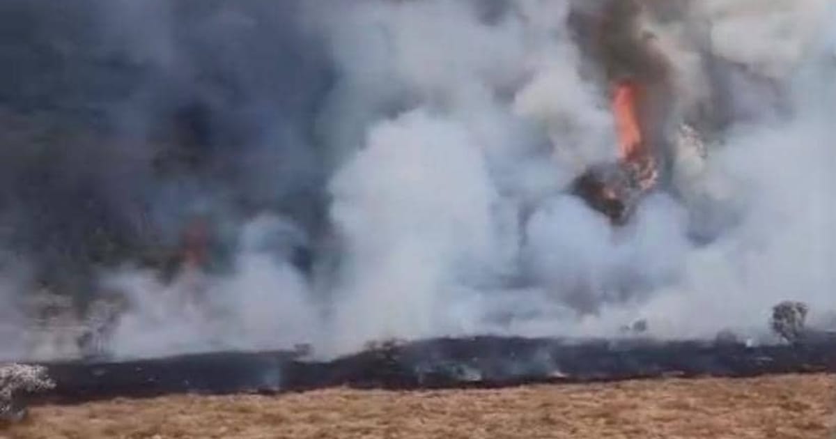 BBTNGGP Tutup Seluruh Jalur Pendakian Gunung Gede dari 7-11 Agustus Akibat Kebakaran
