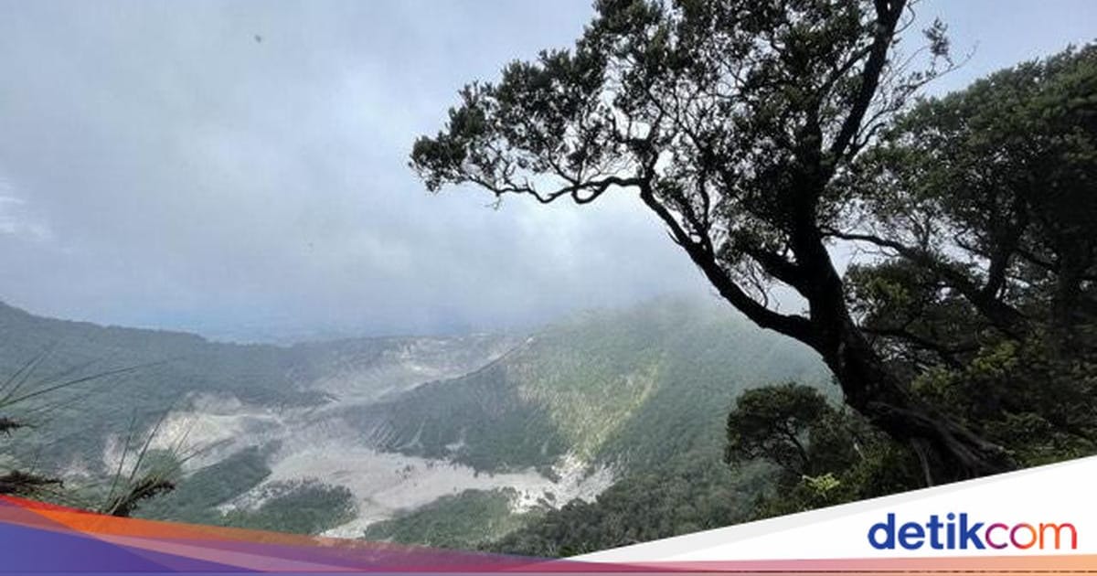 BMKG Catat Suhu Maksimum Bandung 32 Derajat Celsius Saat Kelembapan 55-80 Persen