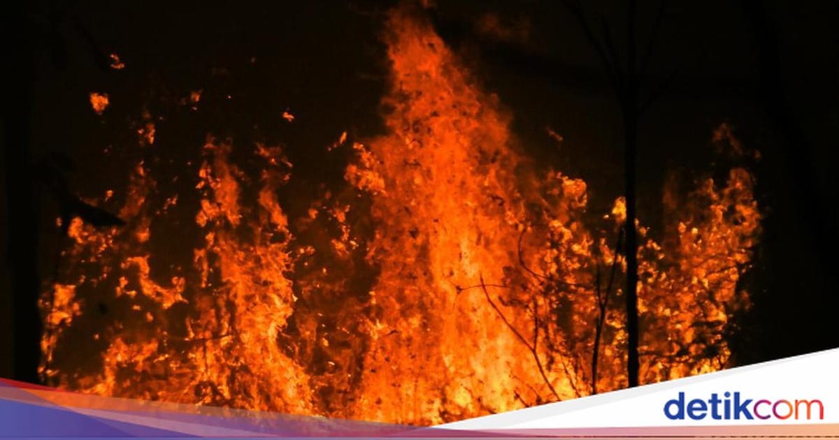 BNPB Catat 1.487 Titik Panas Kebakaran Hutan di Kalimantan