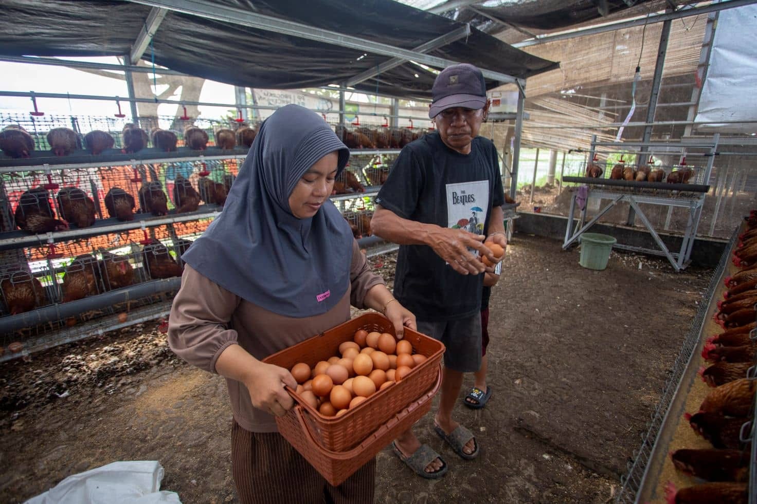 Bukti Dampak SPPG di Sumba dan Tasikmalaya untuk Gizi Anak dan Ekonomi Desa