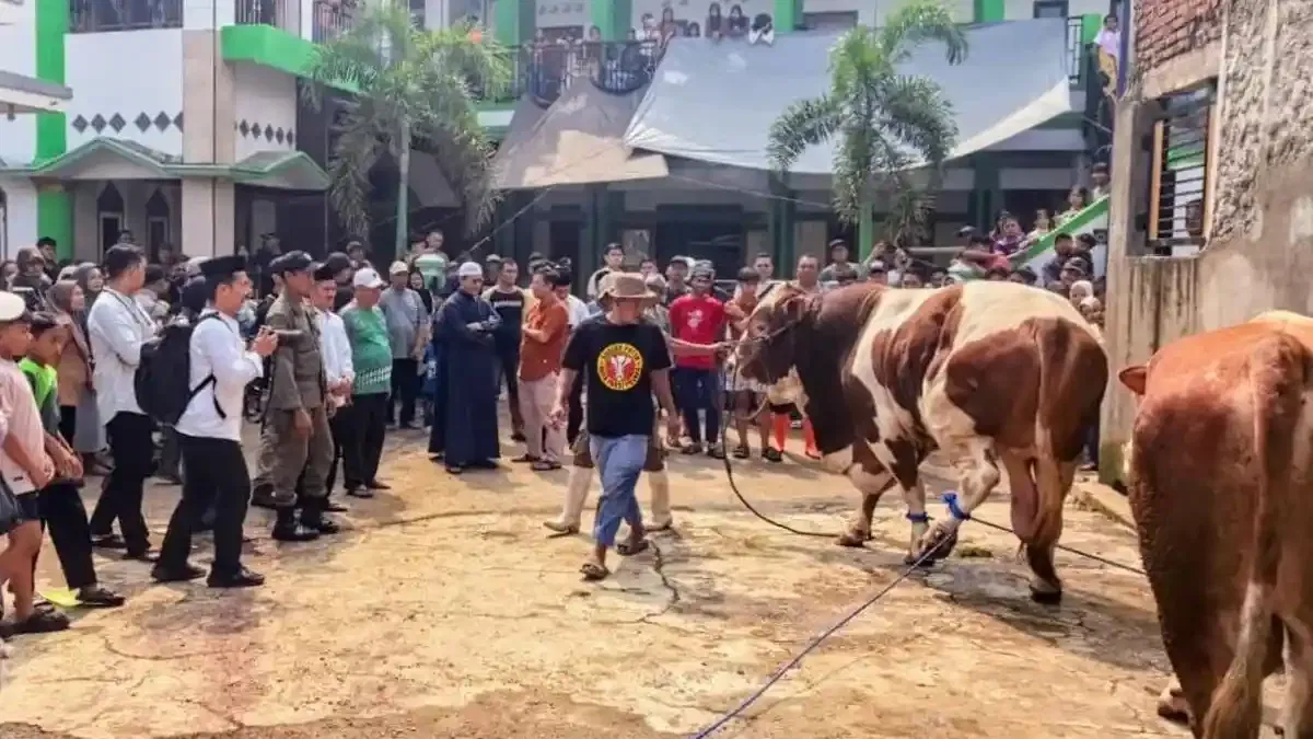 Bupati Bandung: Antusiasme Kurban Tetap Tinggi di Tengah Tekanan Ekonomi 2026