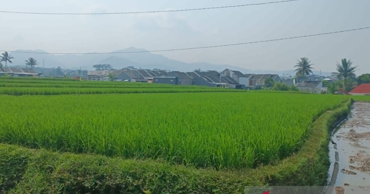 Cianjur Distribusikan 255 Unit Pompa Air untuk Antisipasi Kekeringan 2026