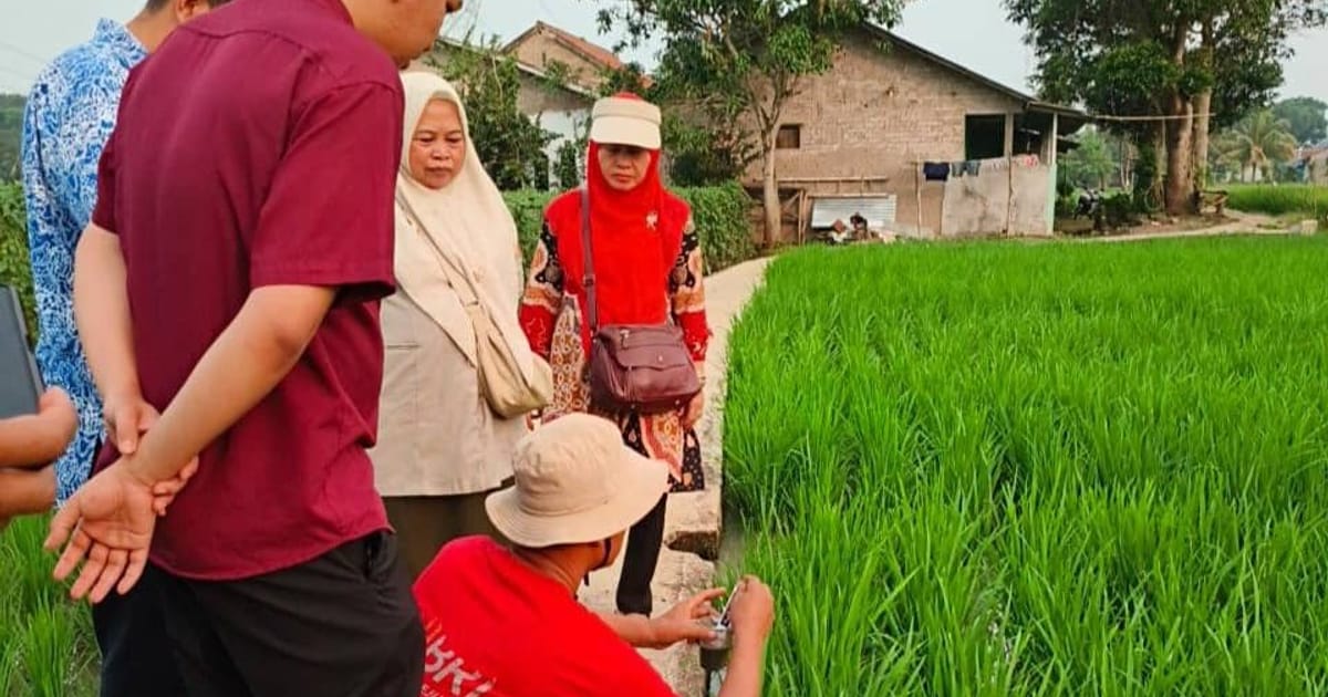 Cianjur Gerak Cepat Siagakan 500 Pompa Air Atasi Kemarau