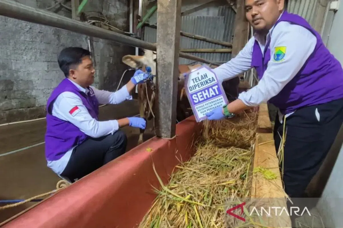 Cianjur Pastikan Hewan Kurban 2026 Aman dan Terpenuhi dari Lokal