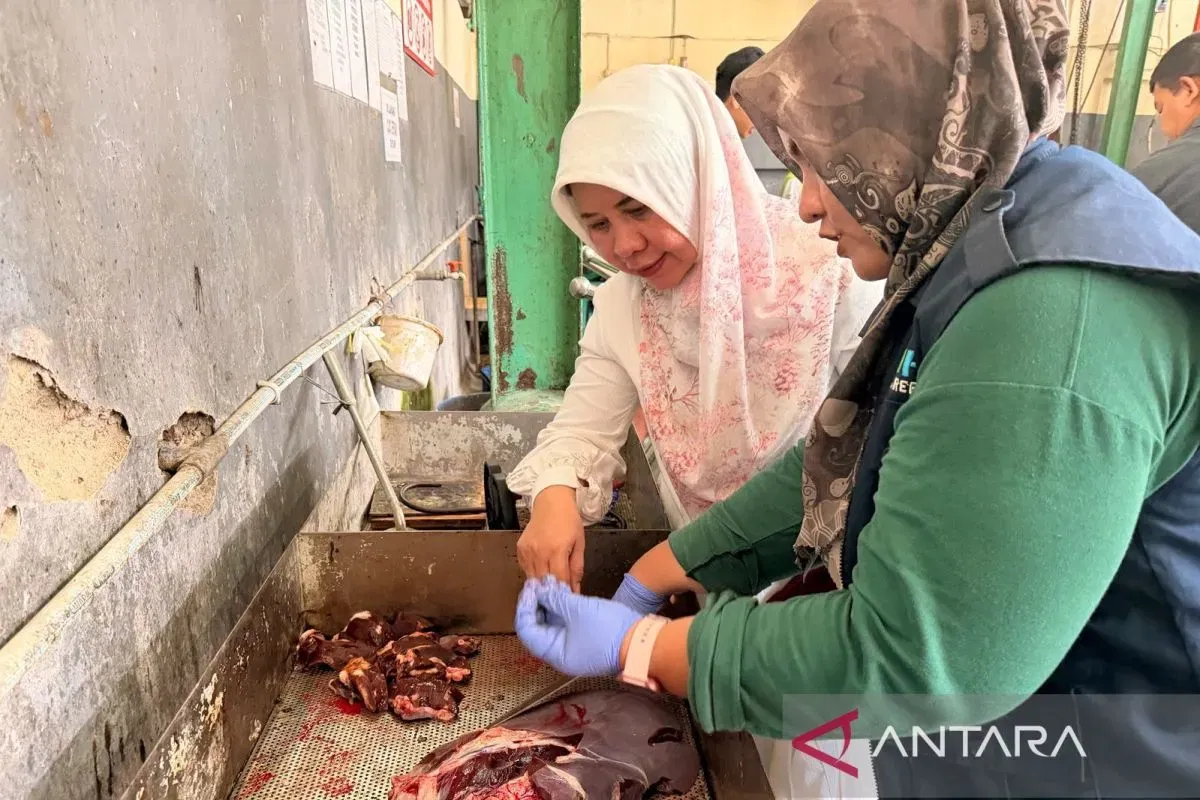 DKP3 Kota Cirebon Pastikan Hewan Kurban Idul Adha 2026 Aman Dikonsumsi