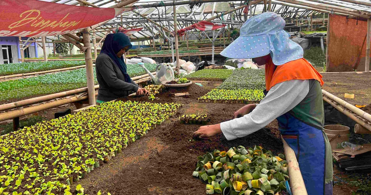 DKPP Bandung Barat Distribusikan 157 Pompa Air ke 13 Kecamatan Antisipasi Kekeringan Pertanian