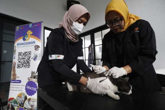 DKPP Bandung Perkuat Pencegahan Zoonosis Lewat Layanan Kesehatan Hewan Terpadu