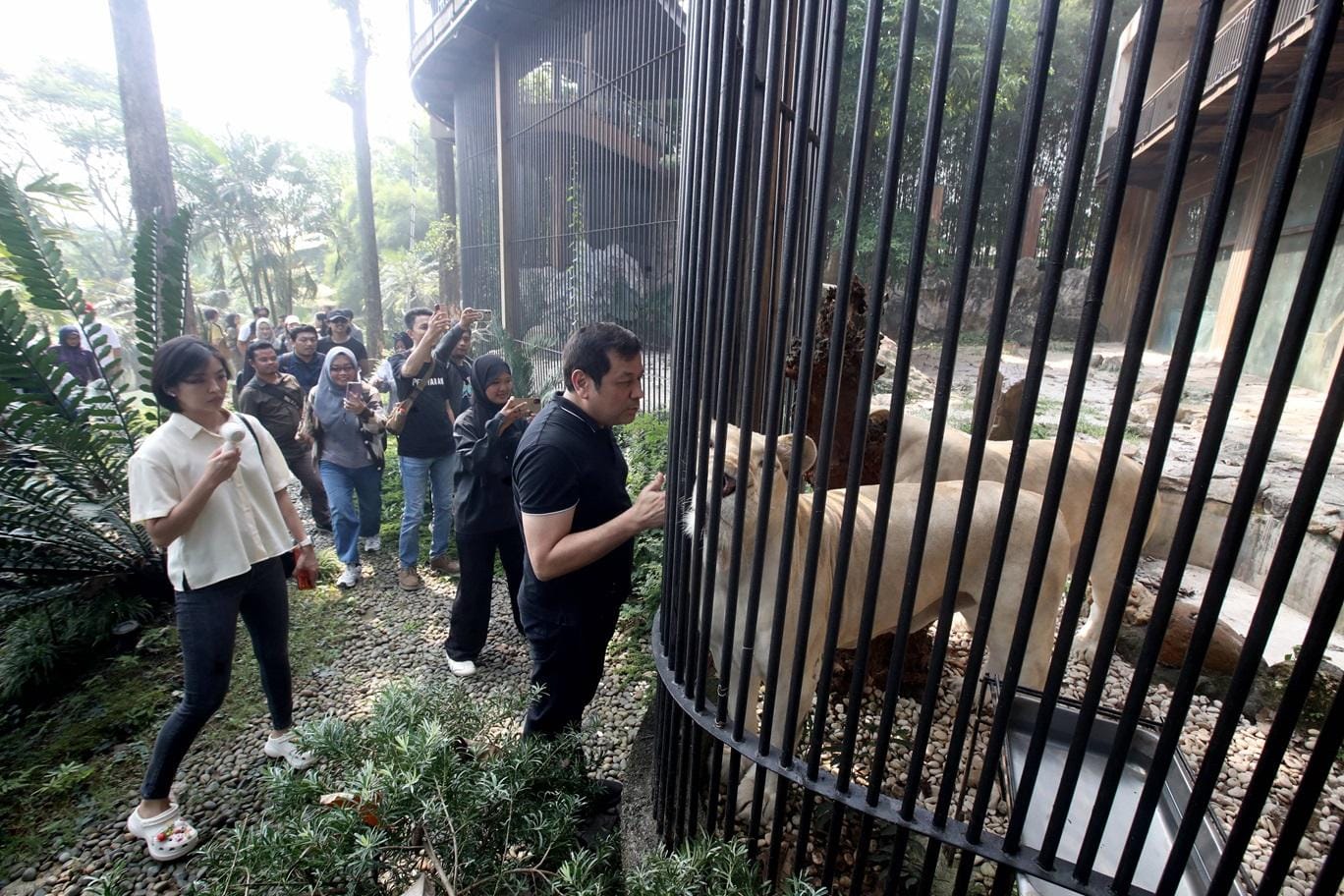 Faunaland Resmi Dapat Pengelolaan Bandung Zoo: Rencana Revitalisasi