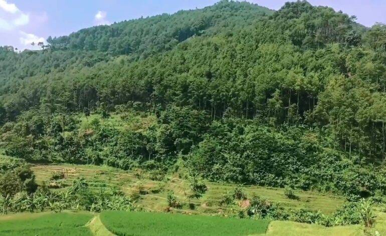 Gunung Majapait Cililin: Jejak Gunung Api Purba dan Budaya Lokal