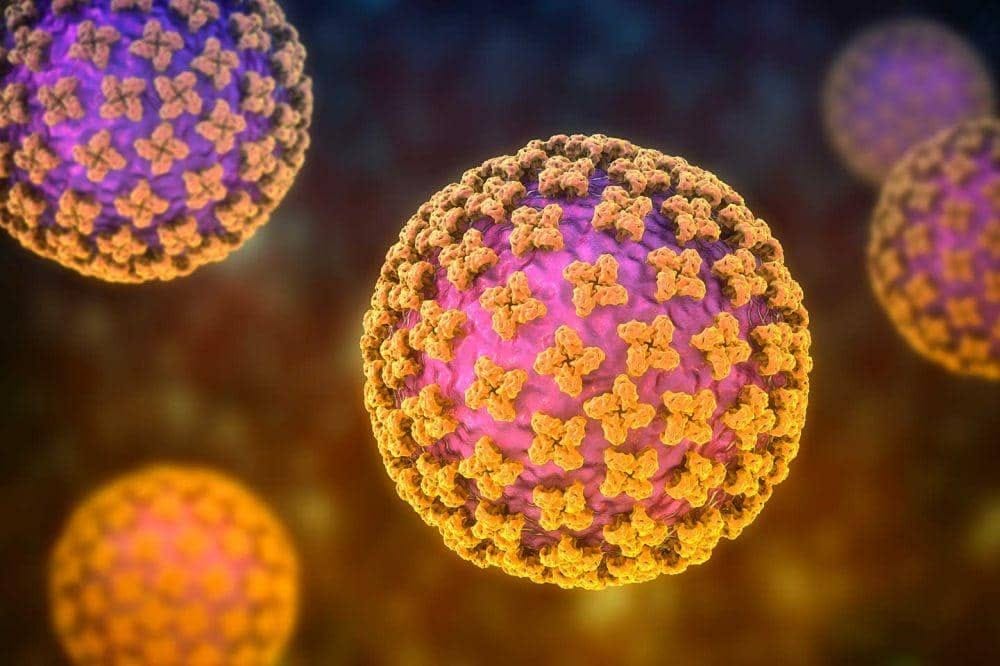 Hantavirus: Kewaspadaan Meningkat di Cirebon, Belum Ada Kasus Lokal