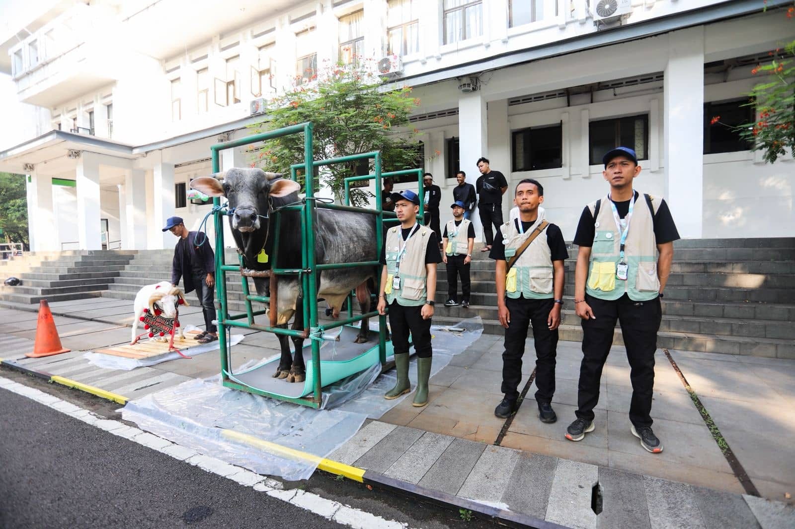 Hanya Kasus Minor Ditemukan pada Pemeriksaan Hewan Kurban Bandung