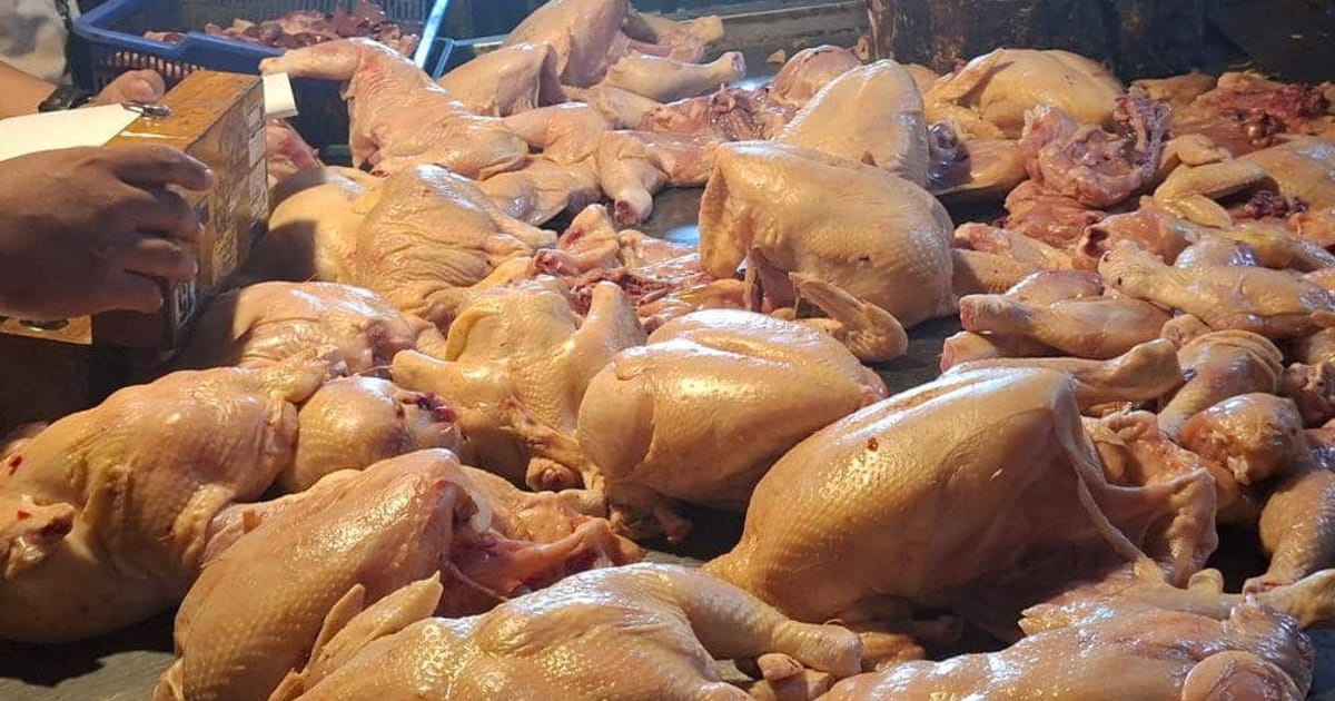 Harga Ayam Hidup di Jawa Barat Naik 22 Persen Jadi Rp25 Ribu per Kg Usai Program MBG Berhenti