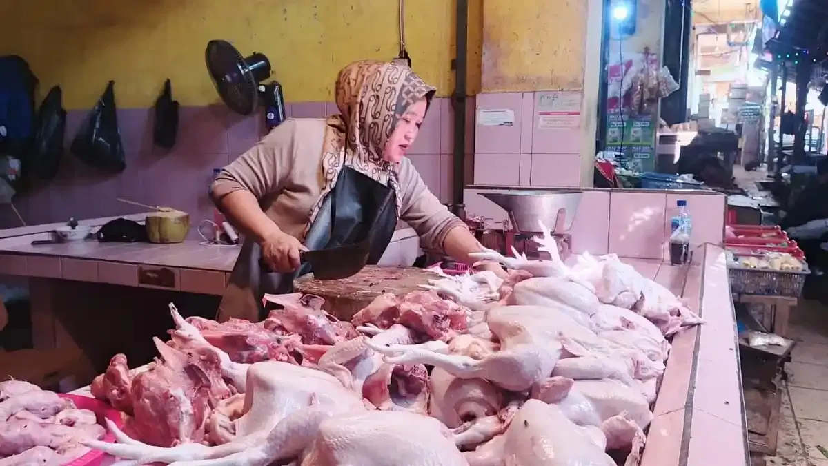 Harga Ayam & Telur Naik di Jawa Barat: Penyebab, Dampak, dan Tindakan Pemerintah