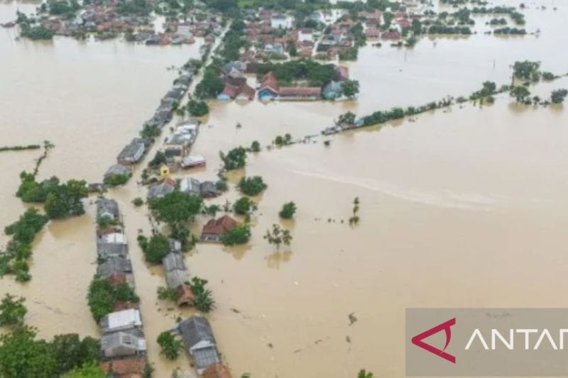 Hari ini Jumat, ribuan hektare sawah di Karawang terendam banjir