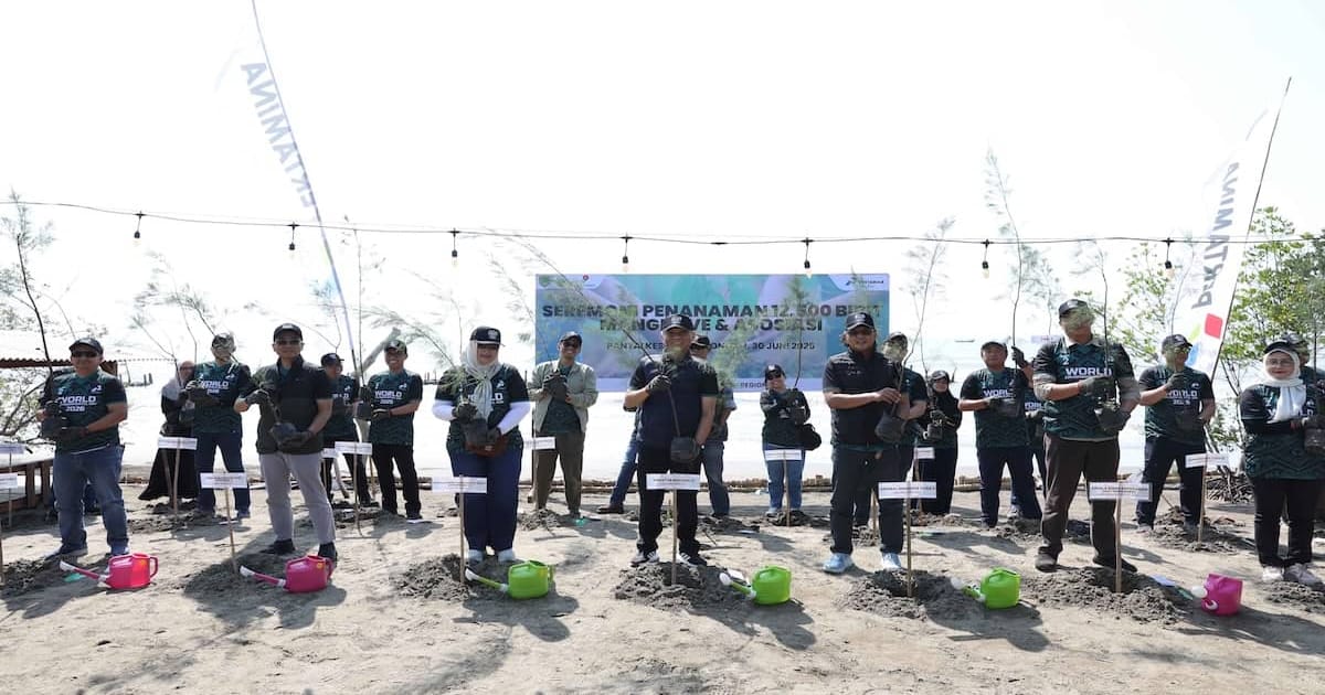 Indramayu Tanam 12.500 Mangrove untuk Jaga Ekosistem Pesisir Utara Jawa