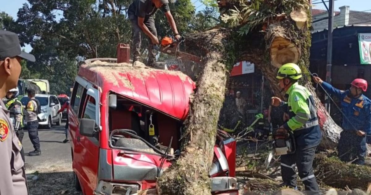 Jalur Bandung-Cianjur Kembali Normal Usai Evakuasi Pohon Tumbang, Sopir Angkot Luka Berat