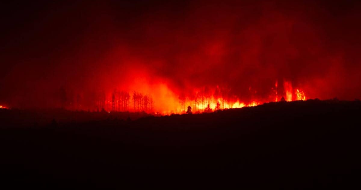 Kabupaten Bandung Catat 7 Kebakaran Lahan dalam 8 Bulan, Polusi Asap Menjamu Warga Sekitar
