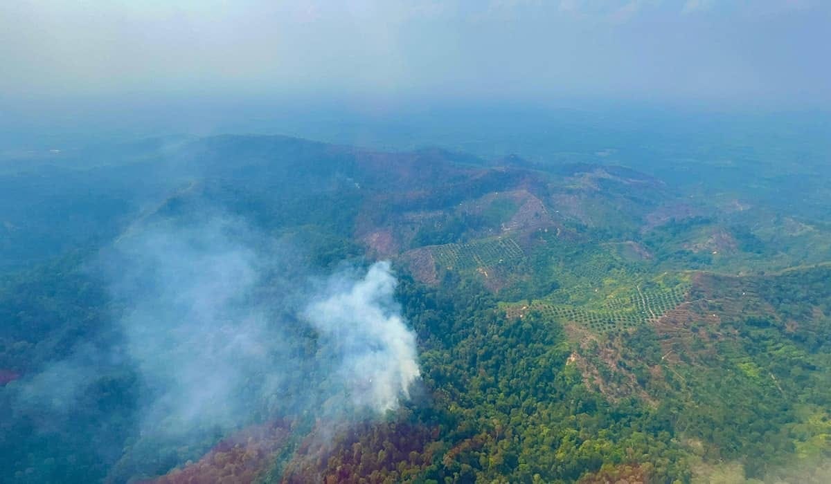 Karhutla di Sukabumi: 2000 m² Lahan Terbakar, BPBD Waspada Panas Ekstrem