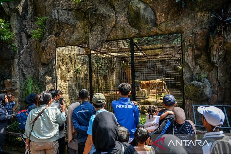 Terbaru! Kebun Binatang Bandung Gratis Lagi di Libur Natal, Ini Syaratnya