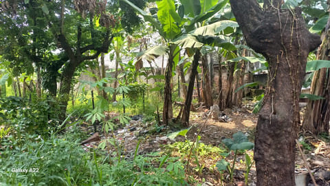 Aset Koruptor Andi Winarto di Bandung Dilelang, Laku Rp 5,4 M: Update Terbaru!