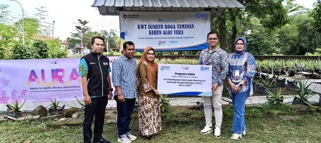 Kelompok Wanita Tani Sleman Sukses Bersama BRI Lewat Budidaya Lidah Buaya