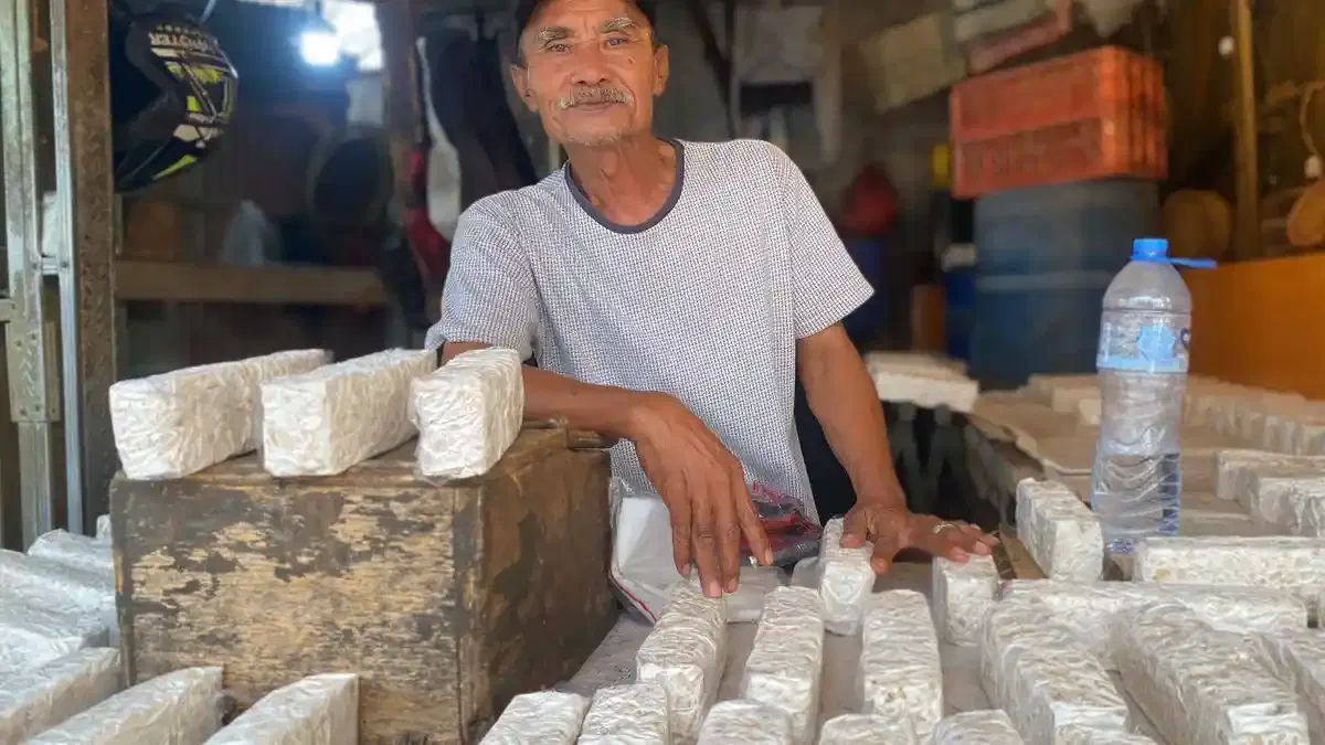 Kenaikan Harga Kedelai di Jabar: Penurunan Keuntungan Pedagang Tempe Tahu 15%