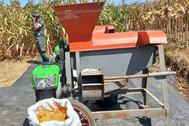 Ketahanan Pangan Jabar: Majalengka Bidik 112 Ribu Ton Jagung di 2026