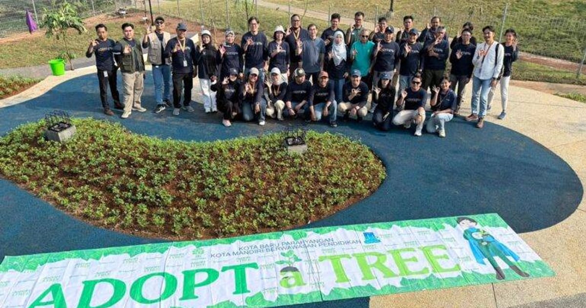 Kisah Pohon 10 Meter yang Mengajar Kita Tentang Kebersamaan dan Ruang Hijau