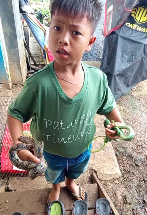 Bocah Ajaib Bandung: Kisah Dika, Pemburu Ular Cilik Berhati Baja Bantu Keluarga