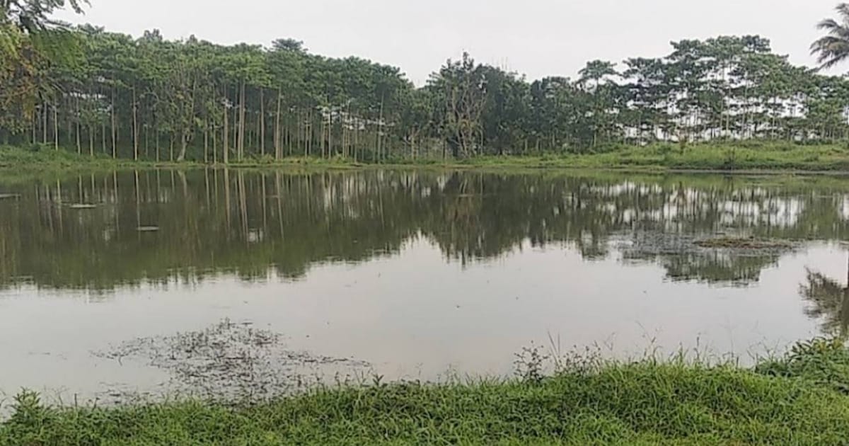 Landbouw Maatschappij Tjimangsoed Dirikan Perkebunan Cimangsud pada 13 November 1907 di Cipatat