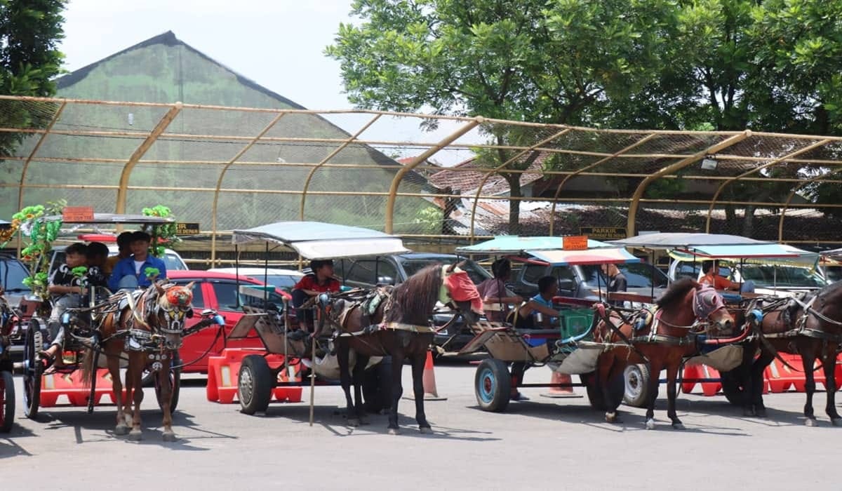 Larangan Operasi Delman Becak Garut, KDM Beri Kompensasi Rp1,4 Juta