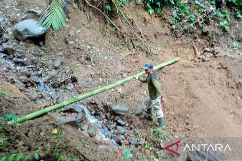 Longsor Tutup Jalur Curug Cibeureum di Gunung Gede: Update Penanganan