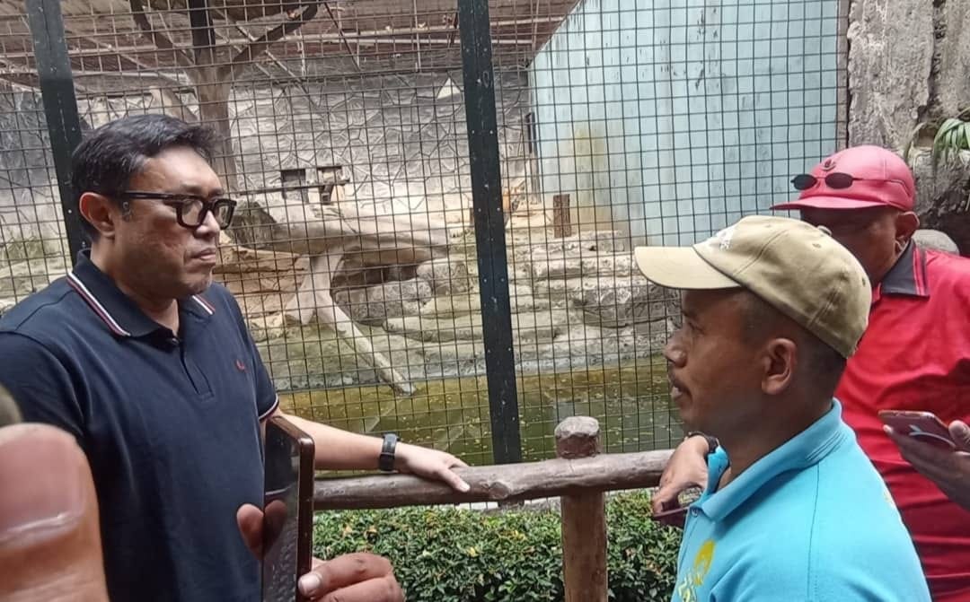 Megawati Instruksikan PDIP Jabar Menyelamatkan Satwa Bandung Zoo