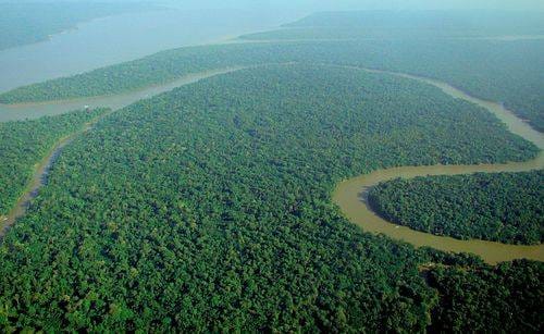 Mengapa Hutan Penting?
