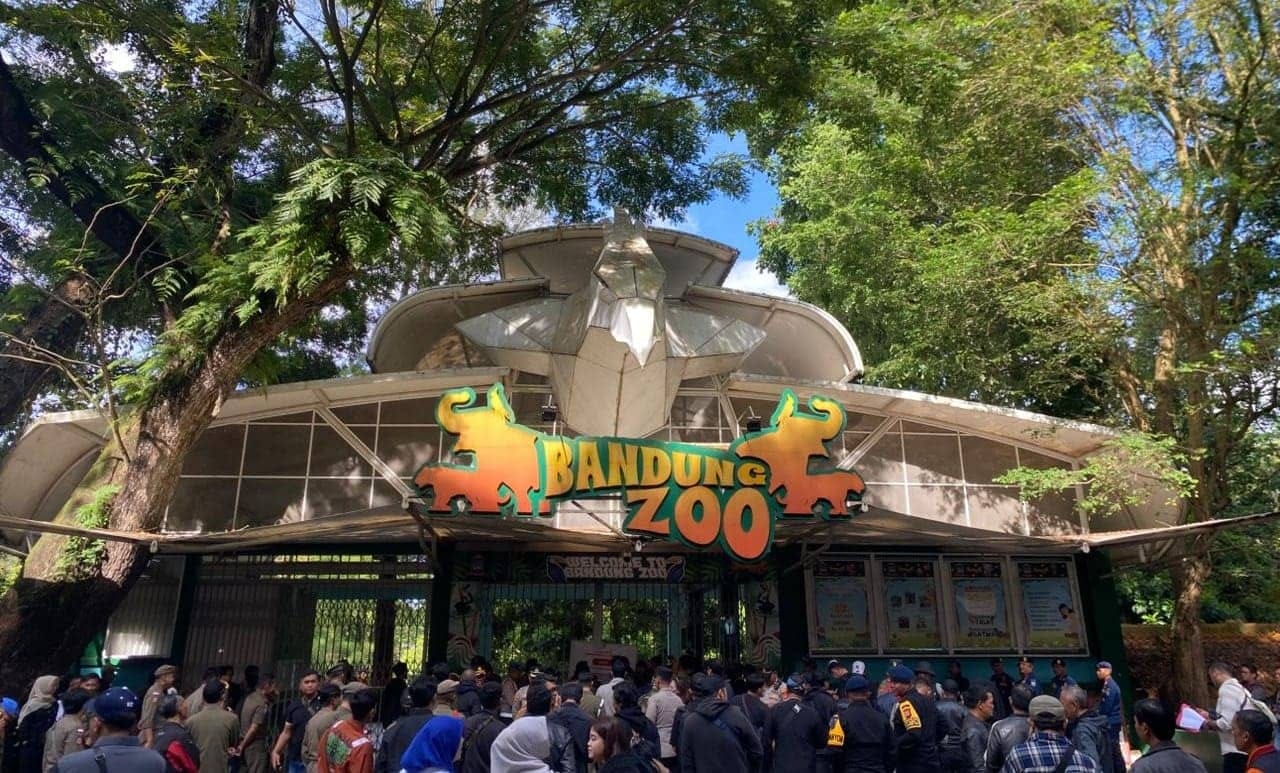Negara Hadir di Kebun Binatang Bandung, Aset Daerah Diamankan, Satwa Diselamatkan