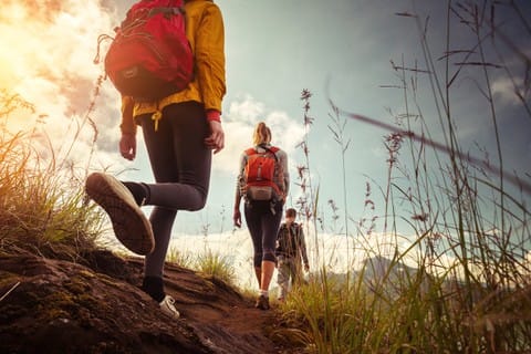 Operasi SAR Mencari Mahasiswa ITB Hilang di Gunung Puntang Bandung