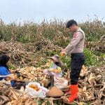 Pakar Hukum Bekasi Soroti Empat Pilar Transparansi Jaga Keadilan Pilkades