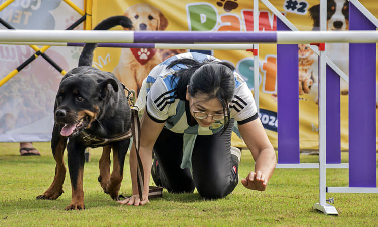PawFest Bandung Barat: Lebih dari Lomba, Hadirkan Adopsi dan Edukasi Kesehatan Hewan