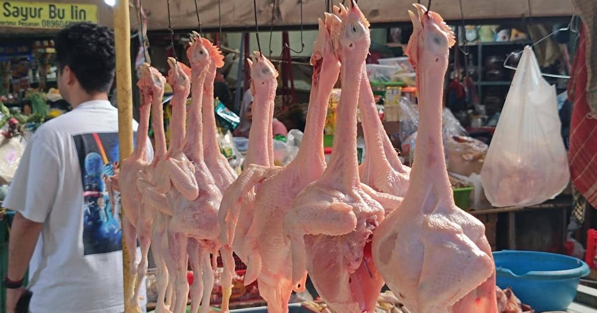 Pedagang di Bandung Keluhkan Harga Ayam Potong Melonjak Imbas Program MBG
